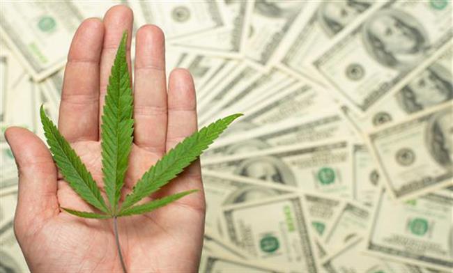 licenced-greenhouse-cannabis-farm-for-sale